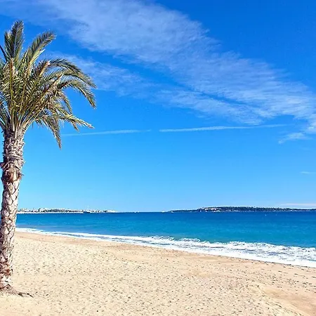 5 Personnes * Cannes